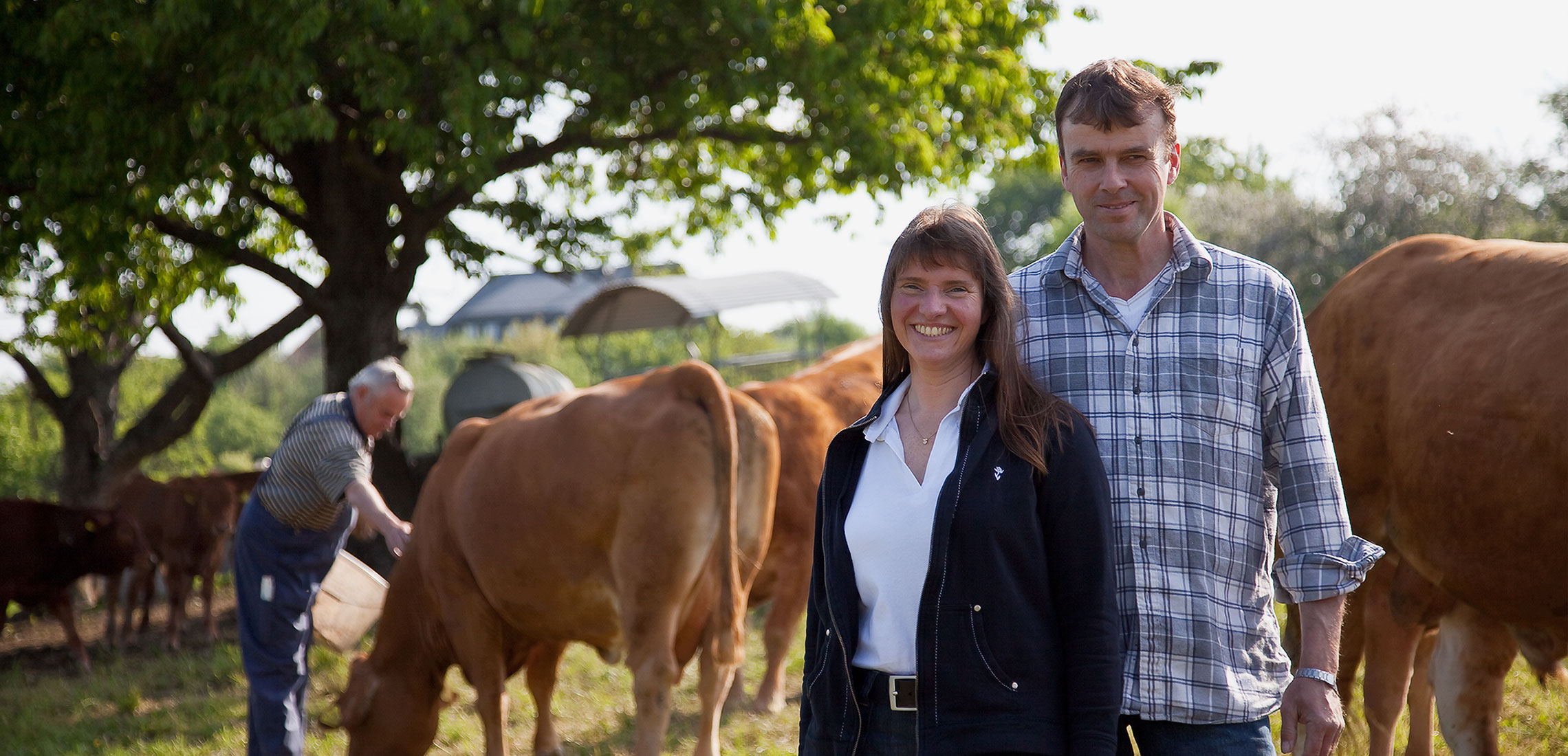 Eine wertvolle Region