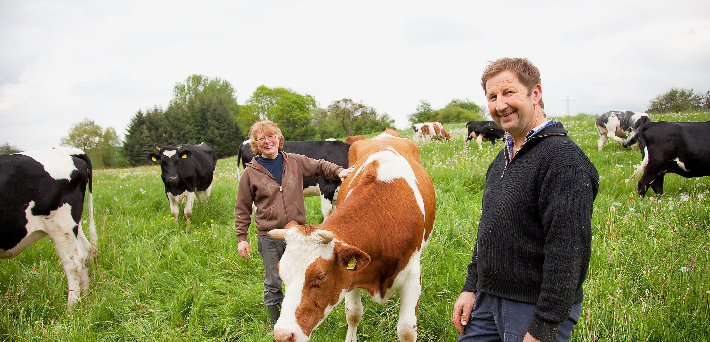 Eine wertvolle Region