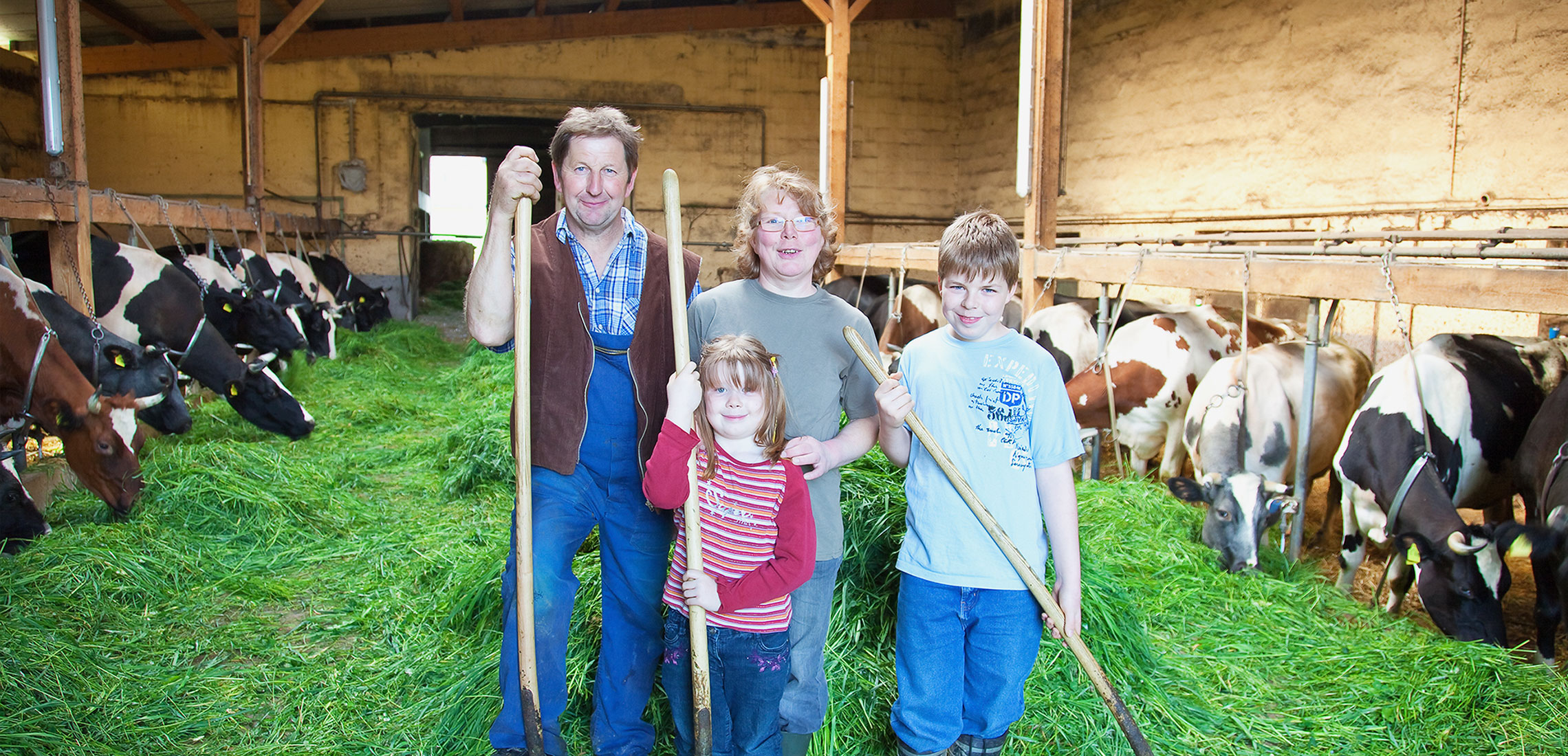 Regionale Wertschöpfung