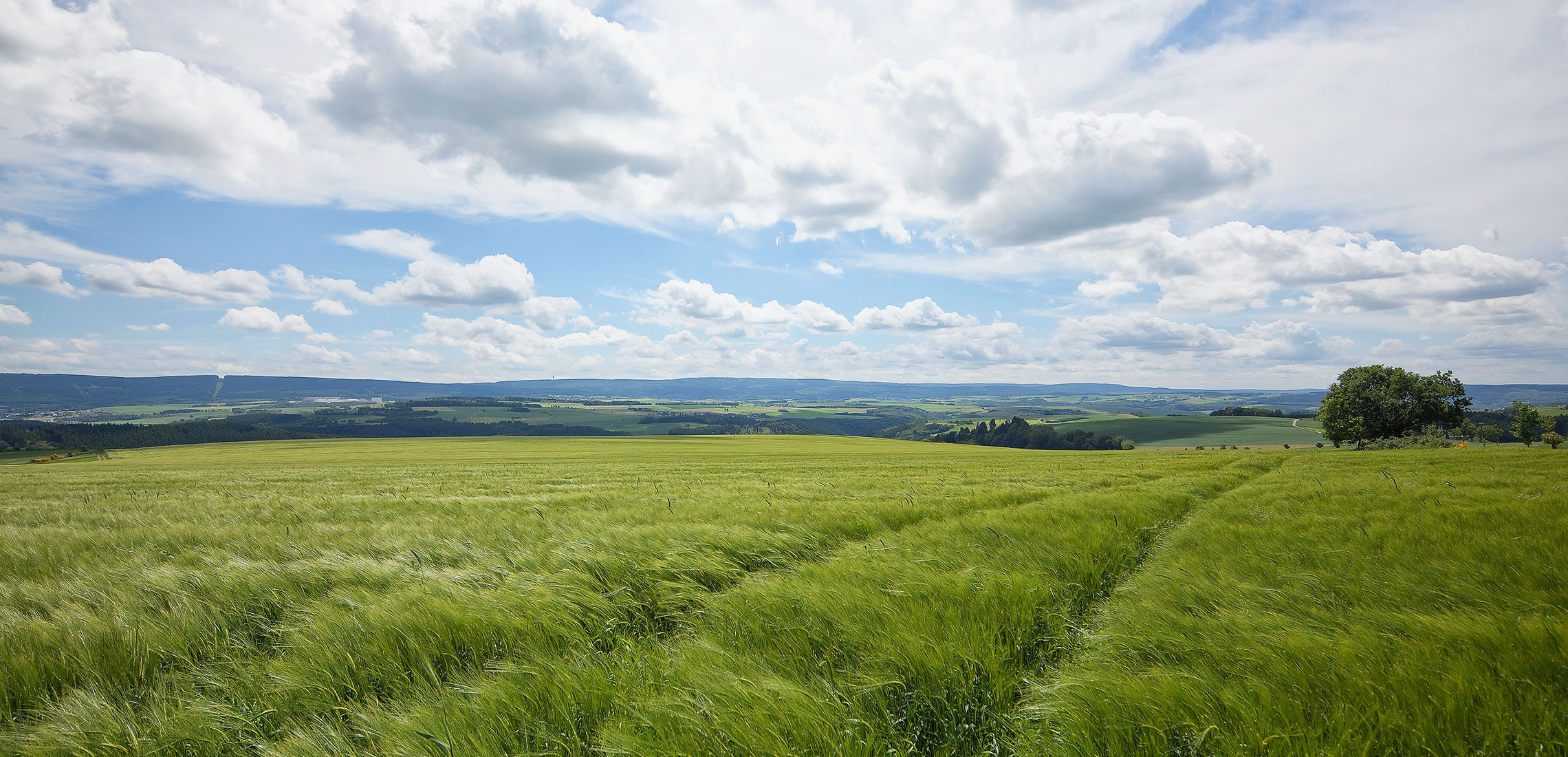 Zu Ihrem Wohl und dem Wohl der Region