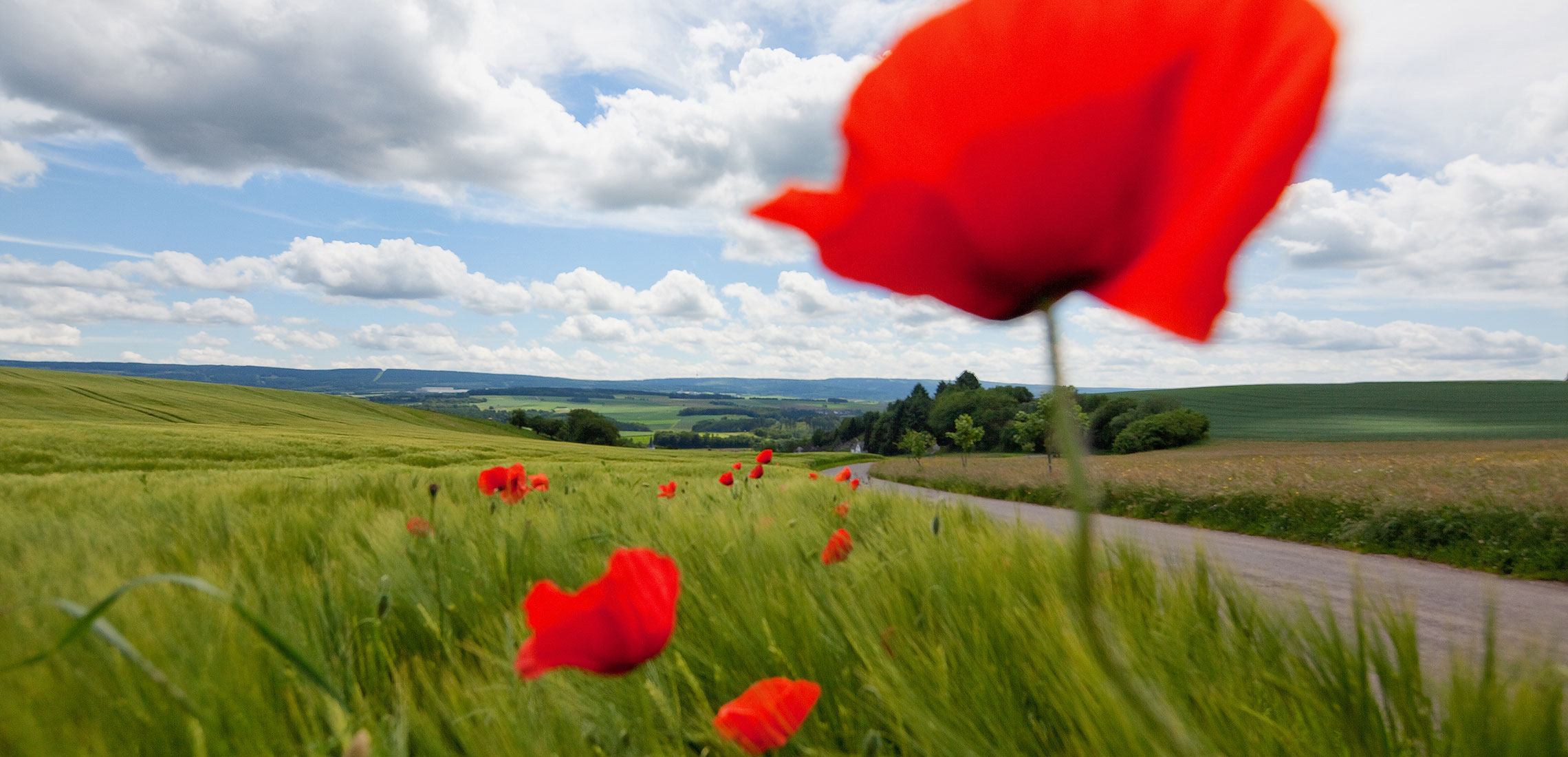 Zu Ihrem Wohl und dem Wohl der Region