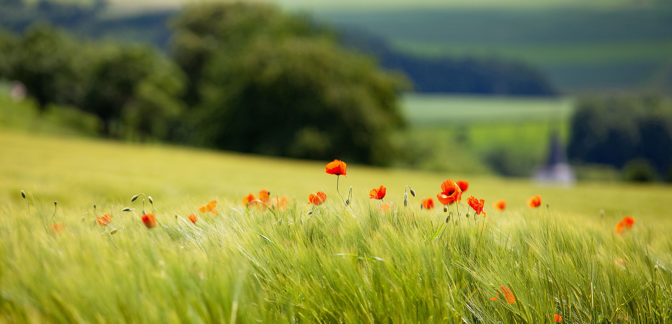 Zu Ihrem Wohl und dem Wohl der Region