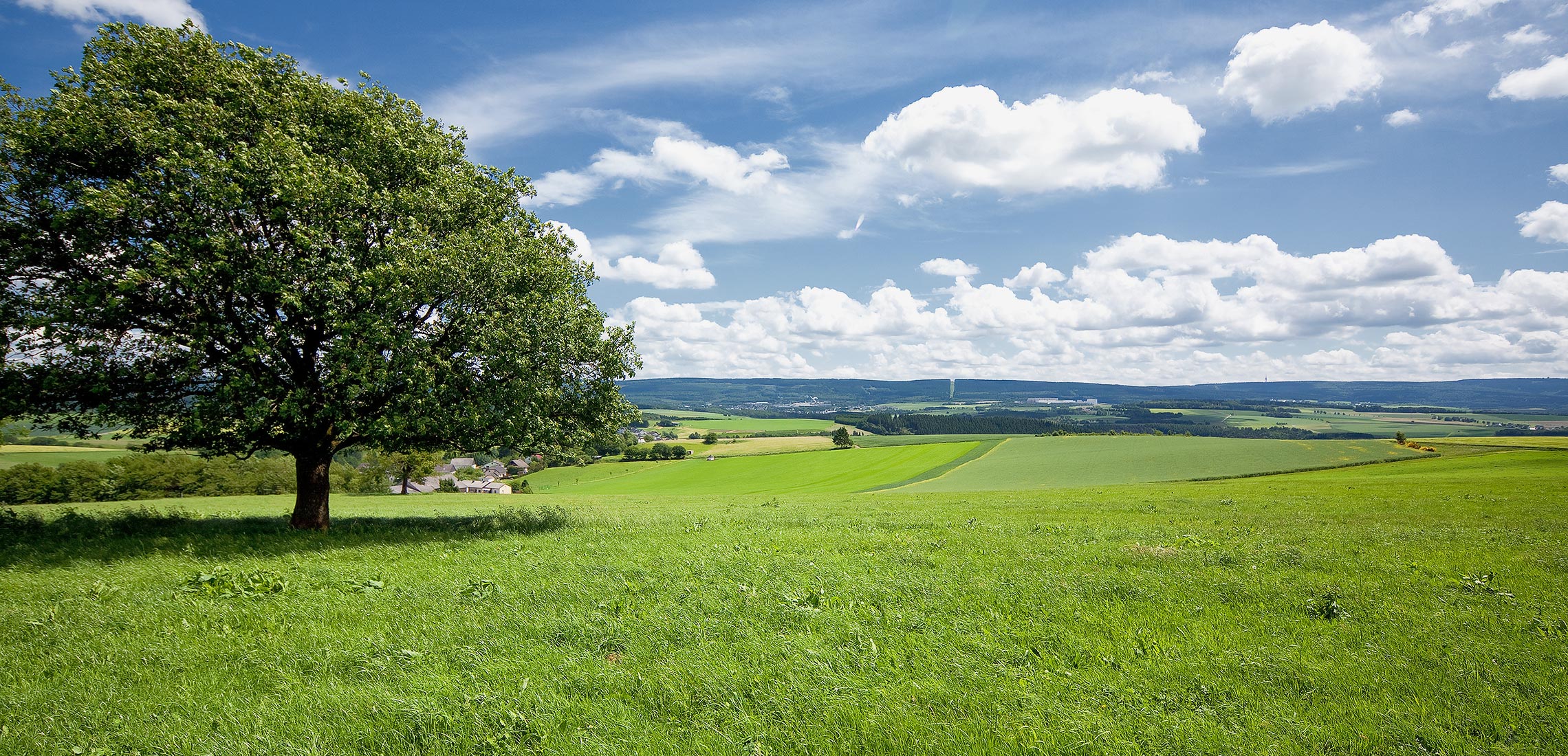 Zu Ihrem Wohl und dem Wohl der Region