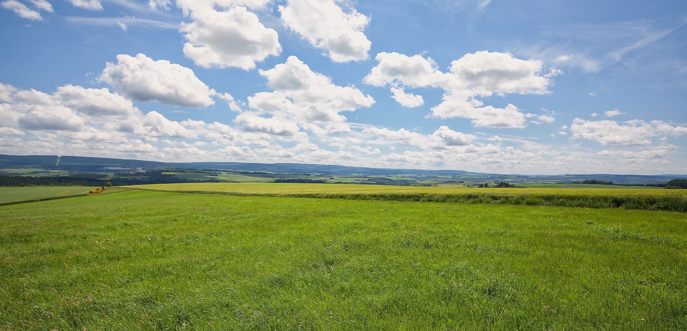 Zu Ihrem Wohl und dem Wohl der Region